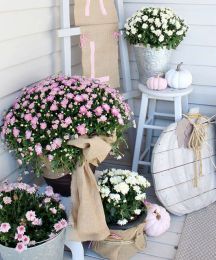 Compo de pâques oeufs roses